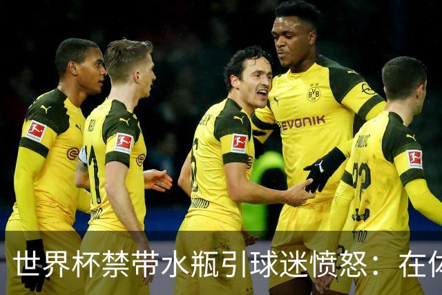 世界杯禁带水瓶引球迷愤怒：在体育场里买？难道更贵就更安全？